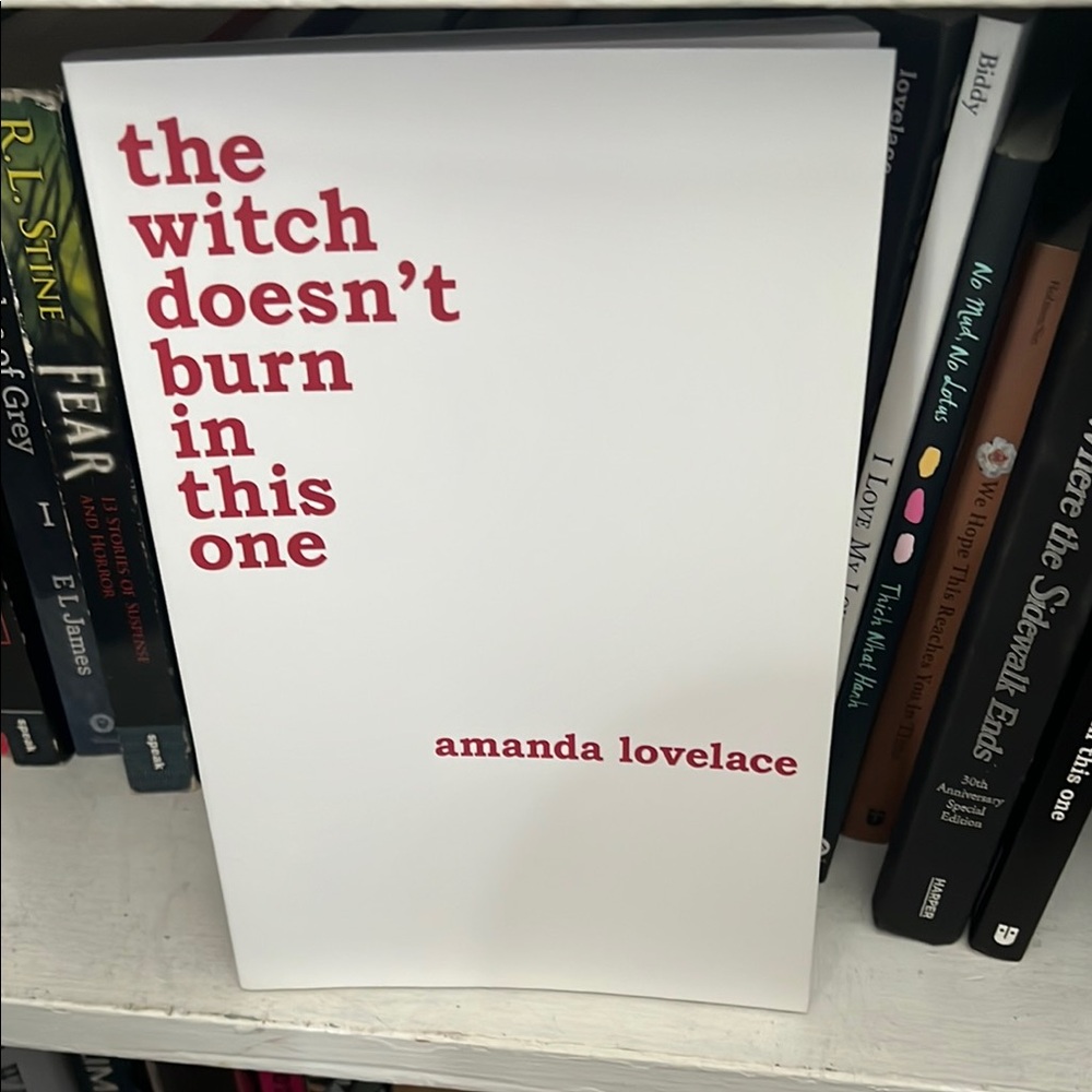 The Witch Doesn't Burn in This One Book